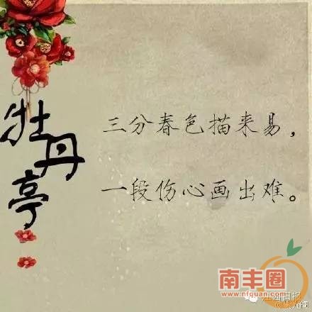 d15a04444f33a8c287fbac84b6dfa823.jpg