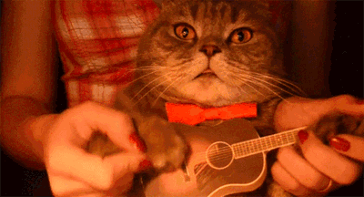 a4eb1fc41d814e9597e09f4d9fb0210a.gif