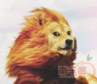 c2b680d23ff9b7eee5439bd3d8148f79.jpg