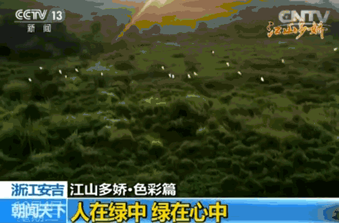 e47e6d43130a2fc63314a20c43857a14.gif