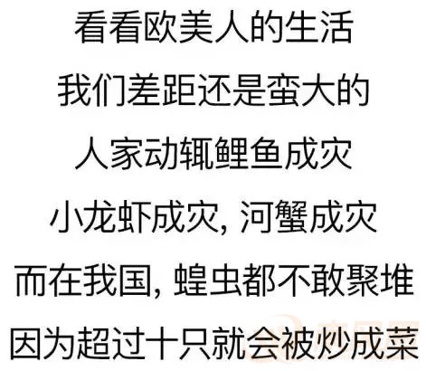 640.webp (20).jpg