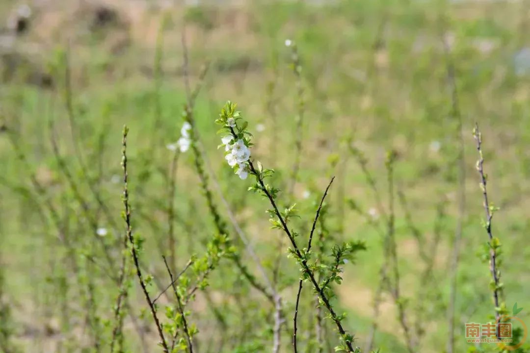 852663c8f89fd7d41167642c0791a200.jpg