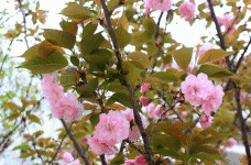 7f0f0912fae8534618385b42cc16be2b.gif
