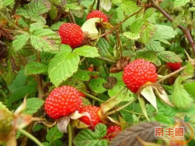 d8d6cb5643ebcaef36cfd9ec0f21f08a.jpg