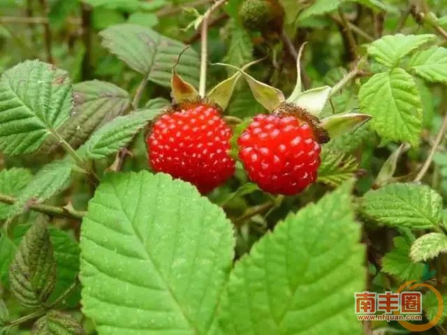 d6cbf9dff521ca576c480d305722e5df.jpg