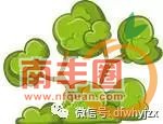 7d4e09c0709d884a6e6cdc46e9033cf4.jpg