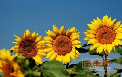 8dd704193a85e03cfd450a7a3e305eab.jpg