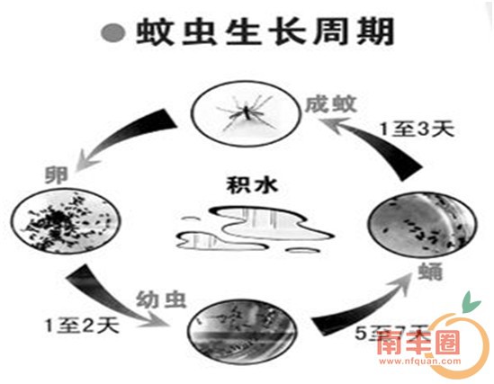 d274b1c35637fe5e418e11115255bc39.jpg