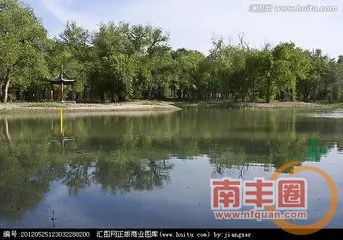 d5ff3ce8e037d251f6f1aaa00cfcb13b.jpg