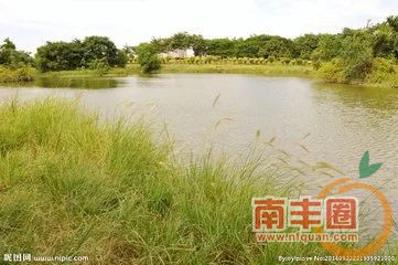 af297746112de10677e73351b58cd9b5.jpg