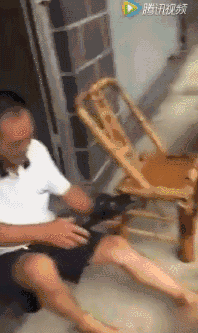 82adbfb8f95a0e5dc3995b663818a051.gif