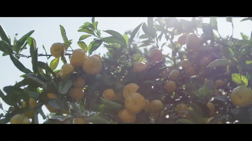 d46ea94e96290026cae31b420d5b4393.gif