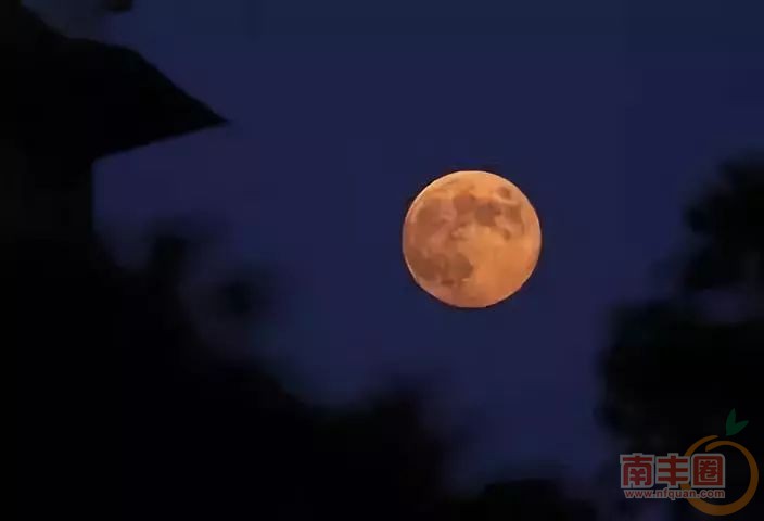 2e273592dab32a2464d494b259cc6a0d.jpg