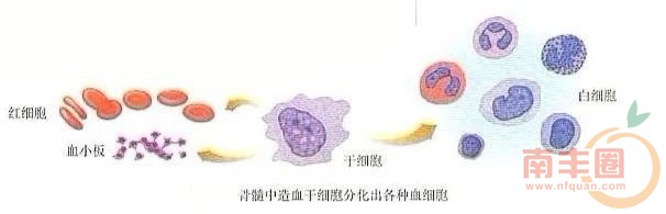 2c780ed69f6e6e5c05cbc69398f25840.jpg