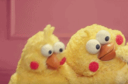 d43559e537d8fafcae165ce025ad32c2.gif