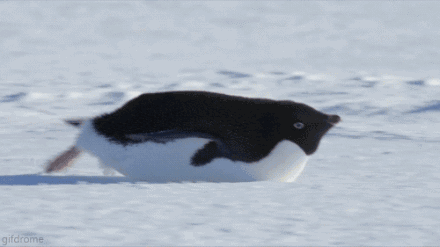 a0af08ab1ae94e8b50ce094ac9de7427.gif