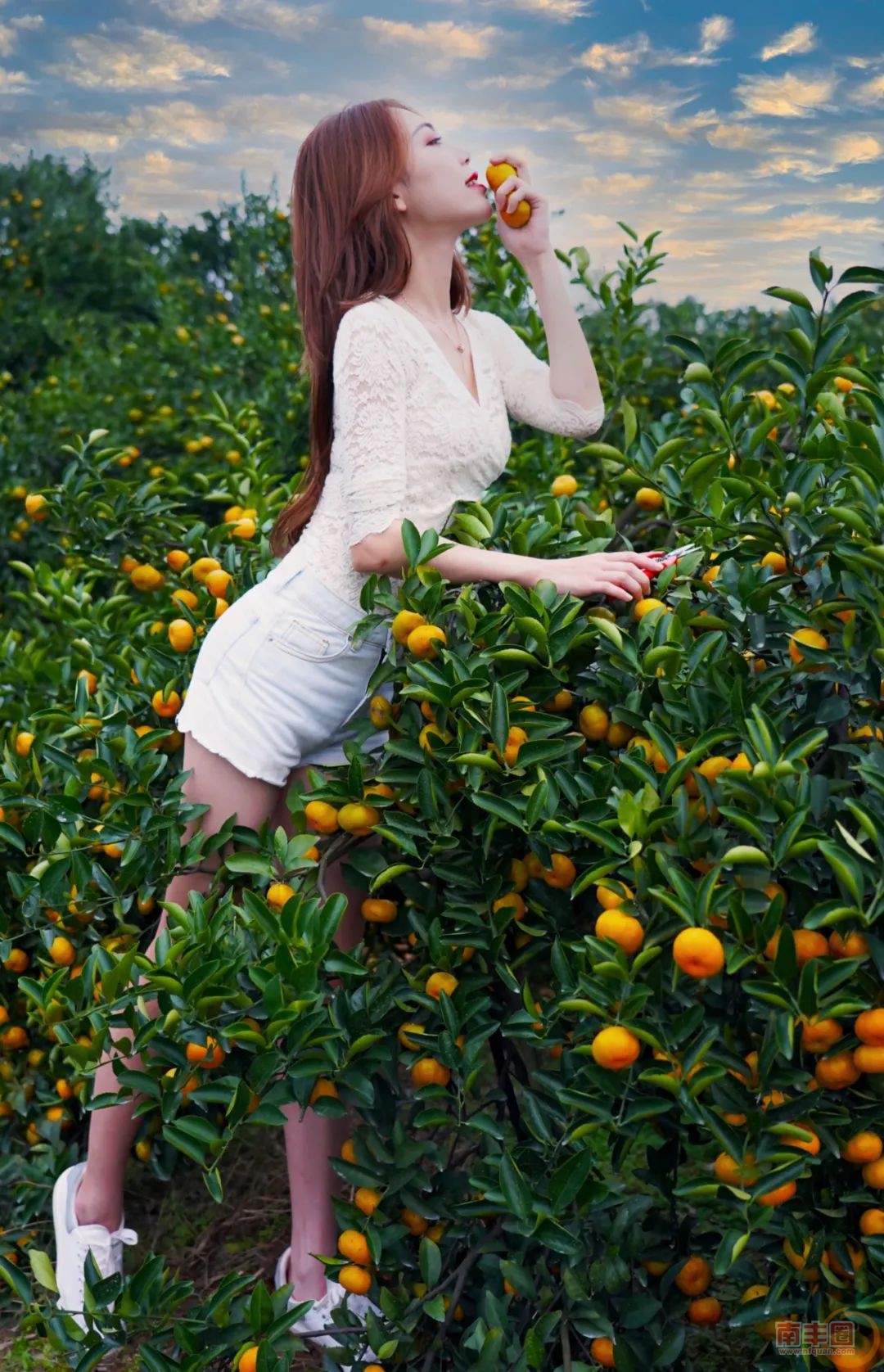 081856zzxl4ggwpx96a6kl.jpg