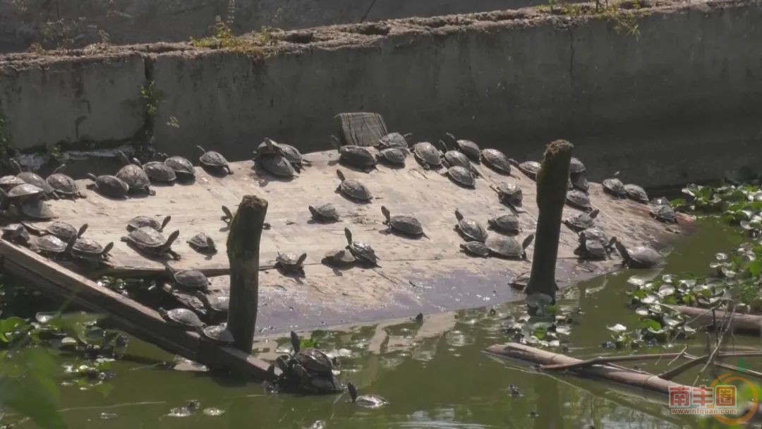 172709wfi7uzxv8qtq5hxl.jpg