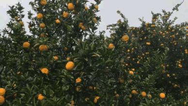 093119w37eswknk1y3onfe.gif