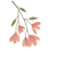 155656xaafr4gv40xpsc3c.gif