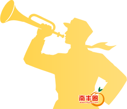 215255o9o11880umbh9udr.png